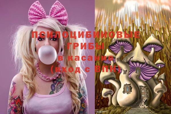 не бодяженный Зерноград