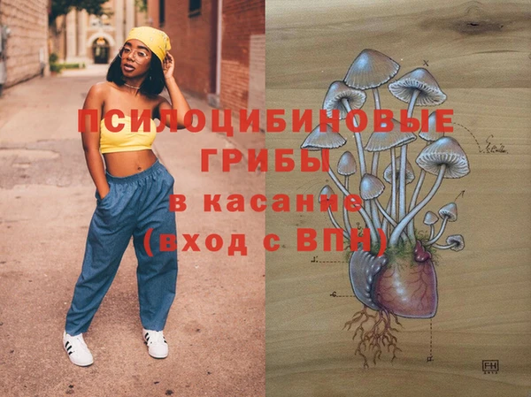 трава Зеленокумск