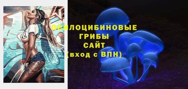 трава Зеленокумск
