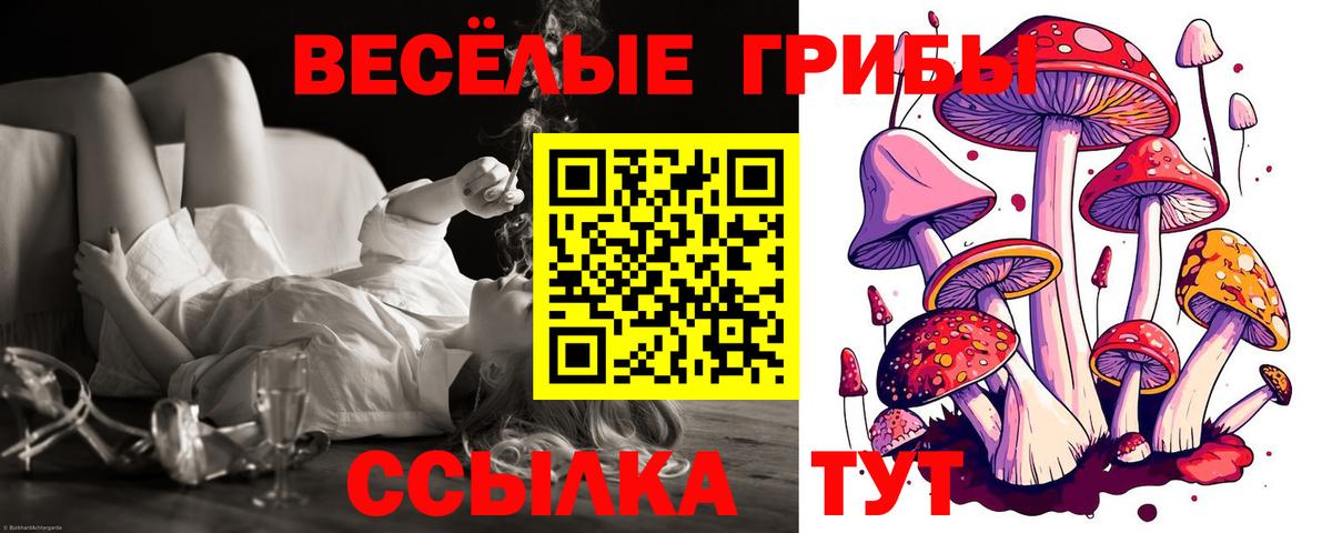 Псилоцибиновые грибы MAGIC MUSHROOMS Слободской