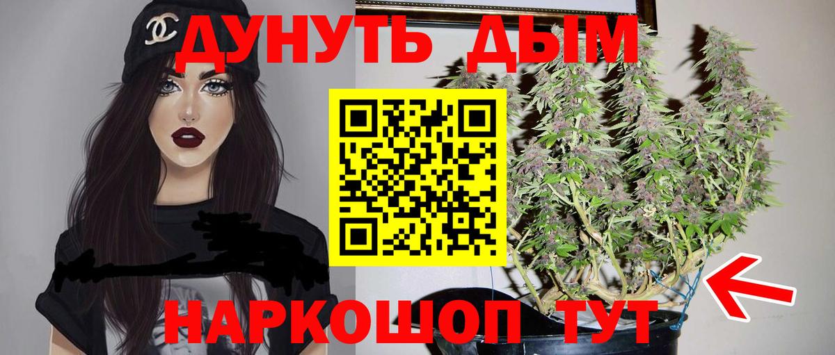 Каннабис план  Бошки Шишки Amnesia  Вход с VPN  Слободской 